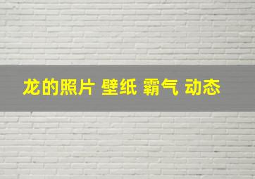 龙的照片 壁纸 霸气 动态